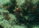Lanzarote 2012