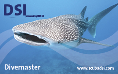Divemaster, CMAS***