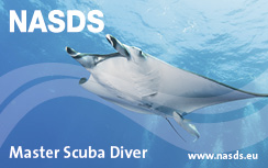 Masterdiver, CMAS**